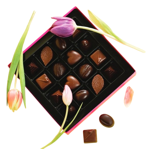 Nice Sugar Free — Where Sweet Indulgence Meets Healthy Living